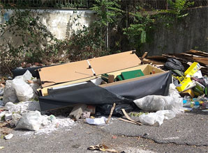 Rifiuti abbandonati in strada