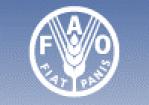 Rimossi 90 cassonetti per il vertice FAO