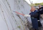 Ama e "Retake Roma" per il decoro dell'area della stazione ferroviaria "La Storta"