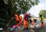 Operazione straordinaria di pulizia e diserbo a Settecamini