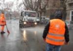 Interventi di bonifica del guano sul Lungotevere e in centro