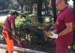 Piazza Mazzini: pulizia straordinaria della fontana e dell'area verde