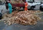 Piano foglie: effettuati altri mille interventi su strade alberate