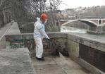 Tevere. Interventi di pulizia e lavaggio presso scale di accesso