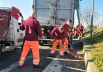 Concluso intervento di pulizia straordinaria e rimozione micro discariche in via del Tecnopolo 